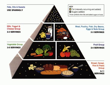 foodpyramid-copy
